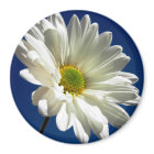 Square Daisy Magnet