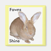 Square Fawn Flemish Riant Rabbit Magnet (Vorne)