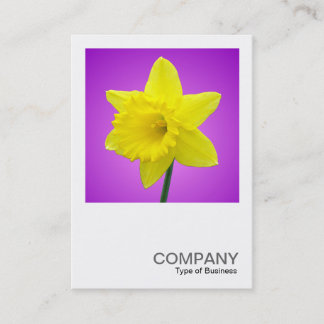 Square Foto 012 - Daffodil Visitenkarte