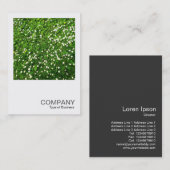 Square Foto 0136 - Daisy Lawn Visitenkarte (Vorne/Hinten)