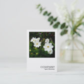 Square Foto 0159 - White Cosmos Blume Visitenkarte (Stehend Vorderseite)