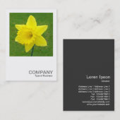 Square Foto 015 - Daffodil Visitenkarte (Vorne/Hinten)