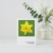Square Foto 015 - Daffodil Visitenkarte (Stehend Vorderseite)