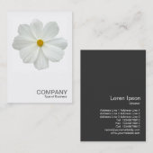 Square Foto 0161 - White Cosmos Blume Visitenkarte (Vorne/Hinten)