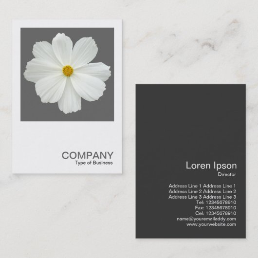 Square Foto 0162 - Kosmos-Blume auf Grau Visitenkarte (Vorne/Hinten)