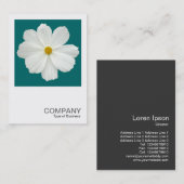 Square Foto 0165 - Kosmos-Blume auf Aquamarin Gree Visitenkarte (Vorne/Hinten)