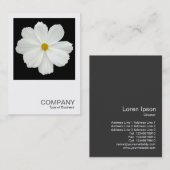Square Foto 0167 - Cosmos Blume auf Black Visitenkarte (Vorne/Hinten)