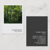 Square Foto 0168 - Silberbänke Visitenkarte (Vorne/Hinten)