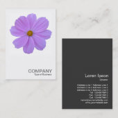 Square Foto 0171 - Lila Kosmos-Blume Visitenkarte (Vorne/Hinten)