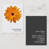 Square Foto 0233 - Orange Marigold Visitenkarte (Vorne/Hinten)