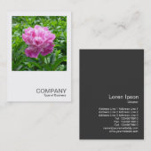 Square Foto 0234 - Pink Peony Visitenkarte (Vorne/Hinten)