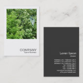 Square Foto 0237 - Sommerfrische Visitenkarte (Vorne/Hinten)