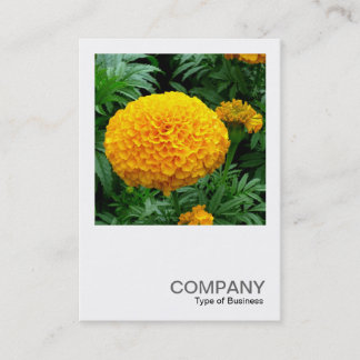 Square Foto 0240 - Orange Chrysanthemum Visitenkarte