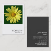 Square Foto 0249 - Gelbe Daisy Visitenkarte (Vorne/Hinten)