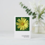 Square Foto 0249 - Gelbe Daisy Visitenkarte (Stehend Vorderseite)