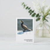 Square Foto 0250 - Kormorant Visitenkarte (Stehend Vorderseite)