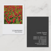 Square Foto 02 - Tulips Visitenkarte (Vorne/Hinten)