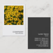 Square Foto 0338 - Schwarz-mit Augen Susans (Rudbe Visitenkarte (Vorne/Hinten)