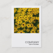 Square Foto 0338 - Schwarz-mit Augen Susans (Rudbe Visitenkarte (Vorderseite)