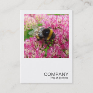 Square Foto 0342 - Hummel Bee on Sedum Visitenkarte