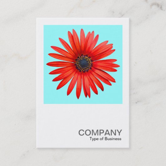 Square Foto 0344 - Red Devil on Ice Blue Visitenkarte (Vorderseite)