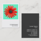 Square Foto 0344 - Roter Teufel auf Türkis Visitenkarte (Vorne/Hinten)