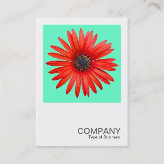 Square Foto 0344 - Roter Teufel auf Türkis Visitenkarte (Vorderseite)