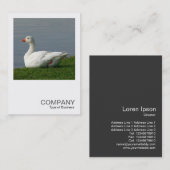 Square Foto 0350 - White Goose Visitenkarte (Vorne/Hinten)