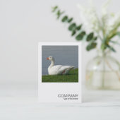 Square Foto 0350 - White Goose Visitenkarte (Stehend Vorderseite)