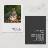 Square Foto 0355 - Gray Squirrel Visitenkarte (Vorne/Hinten)