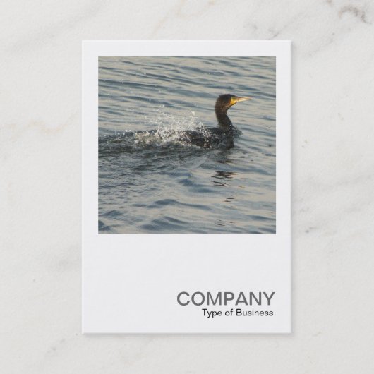 Square Foto 0359 - Cormorant Learning to Swim Visitenkarte (Vorderseite)