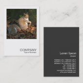 Square Foto 0364 - Gray Squirrel Visitenkarte (Vorne/Hinten)