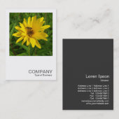 Square Foto 0365 - Hover Fly on a Yellow Chrysant Visitenkarte (Vorne/Hinten)