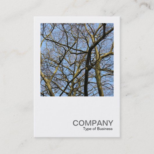 Square Foto 0384 - Zweige Visitenkarte (Vorderseite)