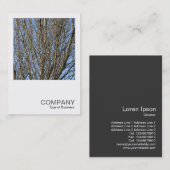 Square Foto 0385 - Sunlit Branches Visitenkarte (Vorne/Hinten)