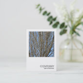 Square Foto 0385 - Sunlit Branches Visitenkarte (Stehend Vorderseite)