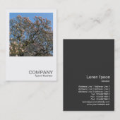 Square Foto 0390 - Magnolia Trees in Blossom Visitenkarte (Vorne/Hinten)