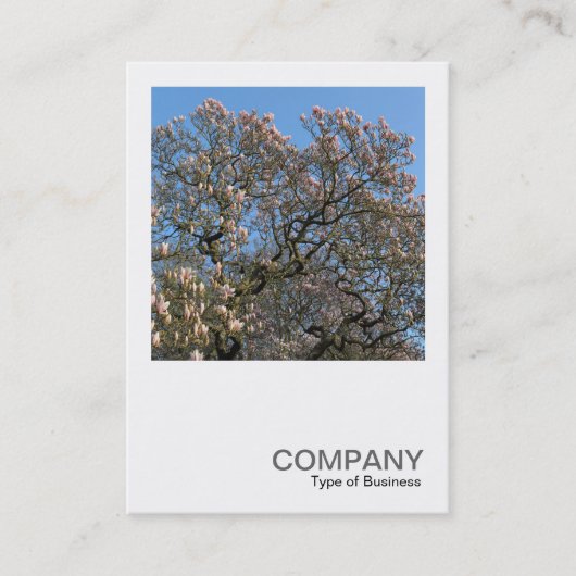 Square Foto 0390 - Magnolia Trees in Blossom Visitenkarte (Vorderseite)