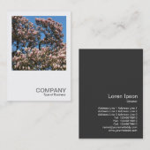 Square Foto 0391 - Magnolia Trees in Blossom Visitenkarte (Vorne/Hinten)