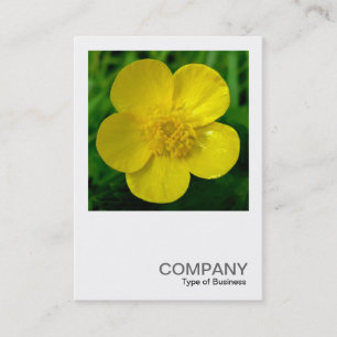 Square Foto 03 - Buttercup Visitenkarte