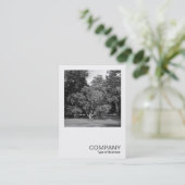 Square Foto 0413 - Bäume, Bute Park, Cardiff Visitenkarte (Stehend Vorderseite)