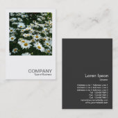 Square Foto 042 - Daisies Visitenkarte (Vorne/Hinten)