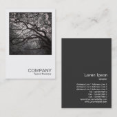 Square Foto 0462 - Magnolia Tree in Blossom 01 Visitenkarte (Vorne/Hinten)