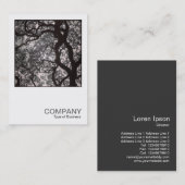 Square Foto 0463 - Magnolia Tree in Blossom Visitenkarte (Vorne/Hinten)