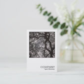 Square Foto 0463 - Magnolia Tree in Blossom Visitenkarte (Stehend Vorderseite)