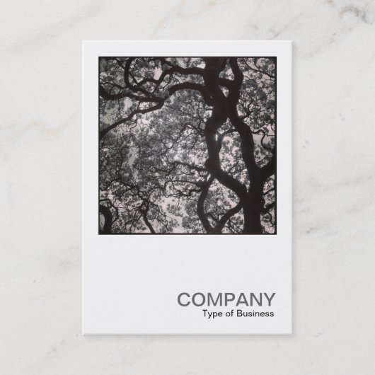 Square Foto 0463 - Magnolia Tree in Blossom Visitenkarte (Vorderseite)