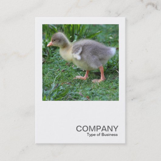Square Foto 0473 - Gosling Visitenkarte (Vorderseite)