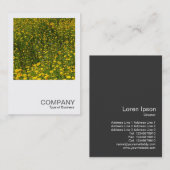 Square Foto 0480 - Bett of Yellow Daisies Visitenkarte (Vorne/Hinten)