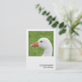 Square Foto 0488 - White Goose Visitenkarte (Stehend Vorderseite)