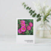 Square Foto 0492 - Michaelmas Daisies Visitenkarte (Stehend Vorderseite)